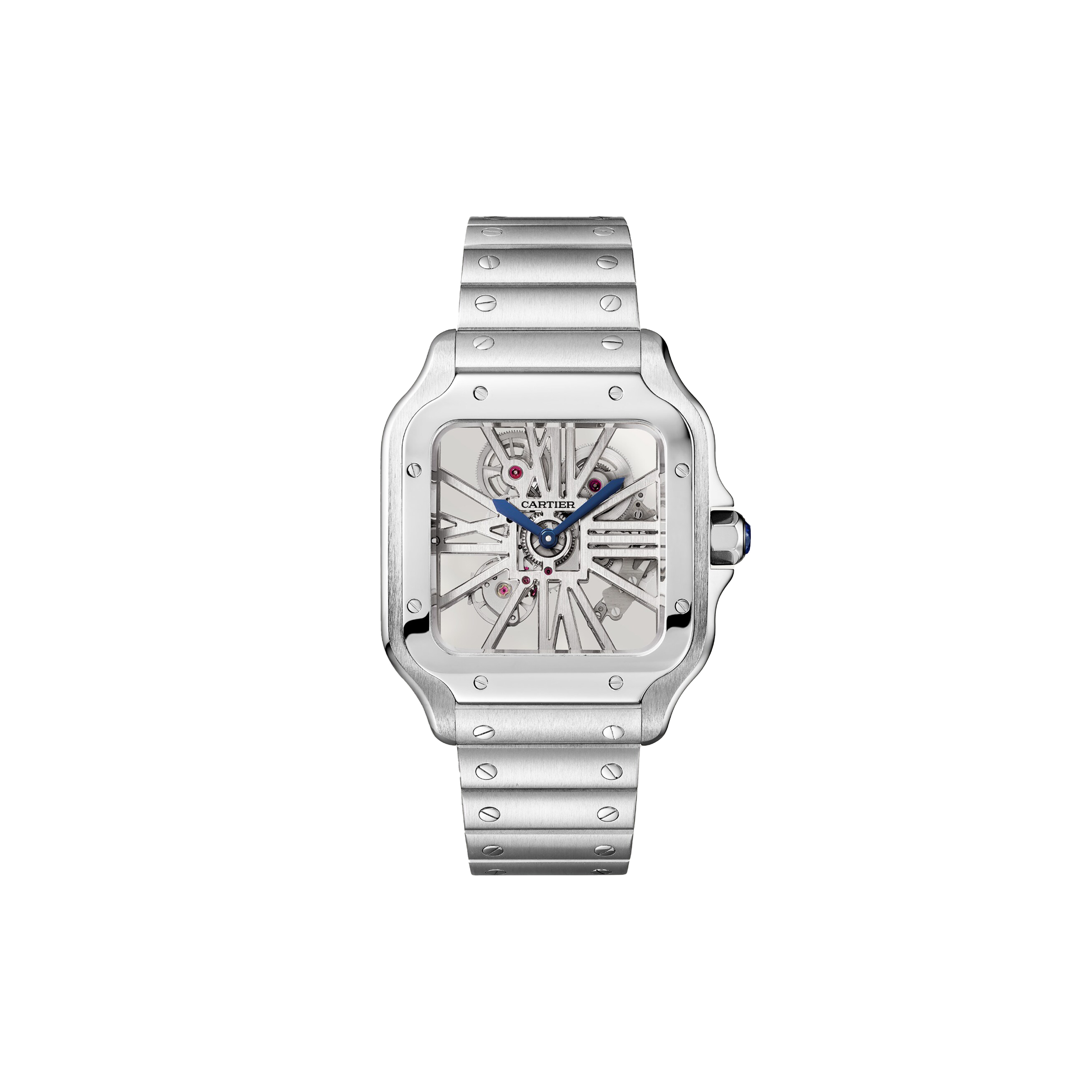 Ca*t*er santos de skeleton watch whsa0015